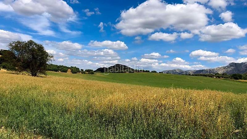 Foto 3836c456-0e93-4d00-adde-6b7bcf78dd9d. Wohngrundstück in Cueva de Menga Antequera