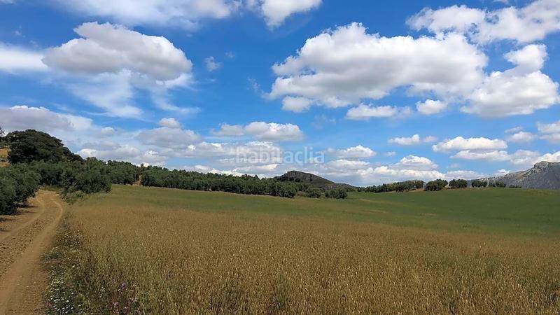 Foto 637c3141-6394-4d19-ab8f-22018460b398. Wohngrundstück in Cueva de Menga Antequera