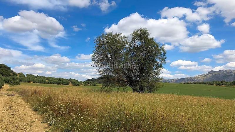 Foto 74e36706-baa7-471e-97a6-a5e68415d701. Wohngrundstück in Cueva de Menga Antequera