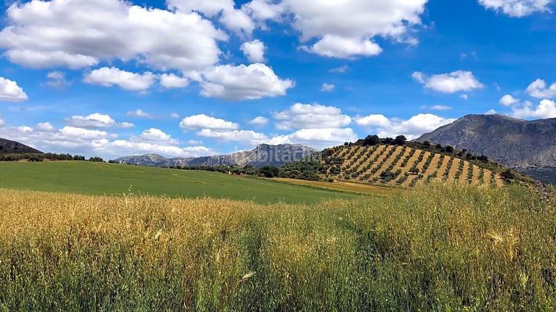 Foto 9c6e04bc-cafb-4aca-a75b-b3bd2f16a3a7. Wohngrundstück in Cueva de Menga Antequera