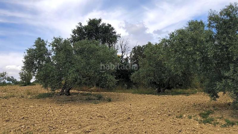 Foto ad531662-a482-4aad-a131-4763b0b0b96f. Wohngrundstück in Cueva de Menga Antequera