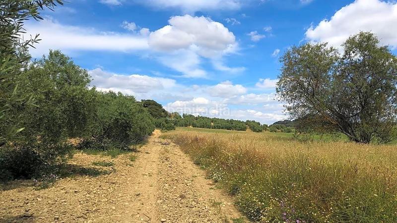 Foto c765a46d-4163-419f-9402-868385777c36. Wohngrundstück in Cueva de Menga Antequera