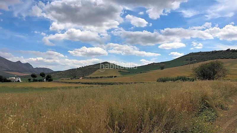 Foto d2eba35d-5b2b-4505-a368-b44a988ccac5. Wohngrundstück in Cueva de Menga Antequera