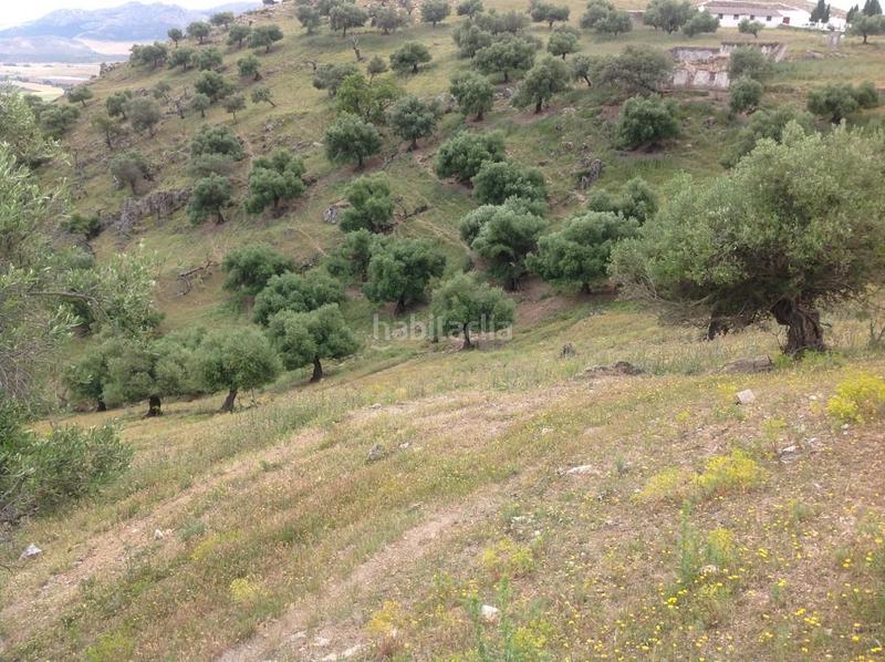 Foto 58254c88-c7b6-400b-b7c5-c5f0e7a49ae4. Terrain résidentiel dans Cañete la Real