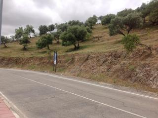 Terreny residencial a Cañete la Real. Parcela en venta en cañete la real