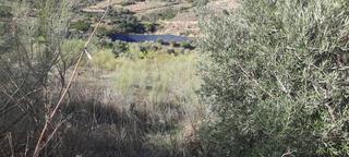 Terreny residencial a Bobadilla - Bobadilla Estación - La Joya