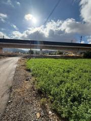 Mas à Zona de la Vega. Finca rústica con casa en venta en zona el arenal