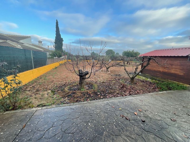 Foto e2c7c6ab-9b7c-4bc8-996a-a67573fbfa3e. Masia a Bobadilla - Bobadilla Estación - La Joya Antequera