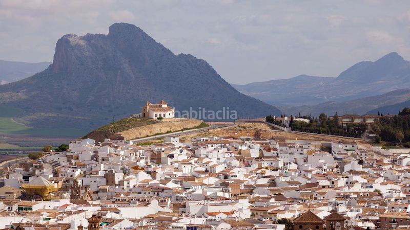 Foto 9cf9736b-1046-4e50-b593-48c42cb7961d. Pis a campaneros 7-9 a Centro Antequera