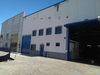 Miete Fabrikhalle in Mollina. Mikes home inmobiliaria antequera, nave industrial de 700 m2 equ
