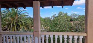Masia a Felanitx Poble. Finca tranquila entre cas concos y felanitx