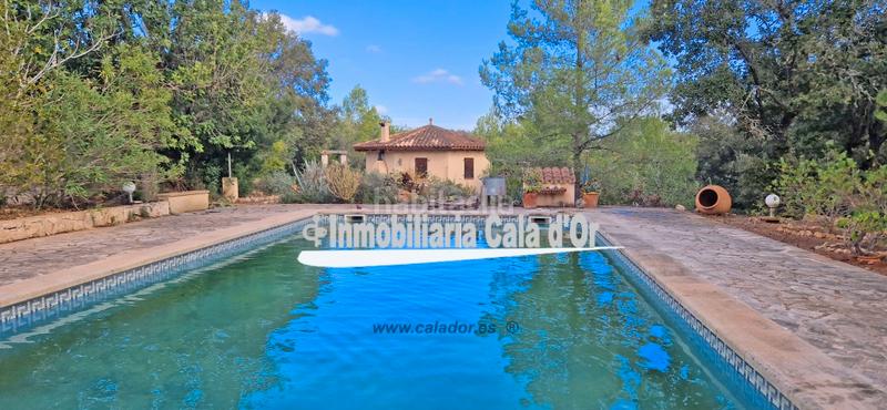 Foto 0fc929c7-14ad-40ef-ba02-2553df3c8990. Mas avec chauffage piscine dans Felanitx poble Felanitx