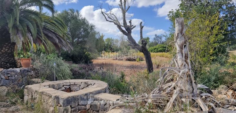 Foto 38fb7f1b-139c-4917-888b-7f053478cf7d. Mas avec chauffage piscine dans Felanitx poble Felanitx