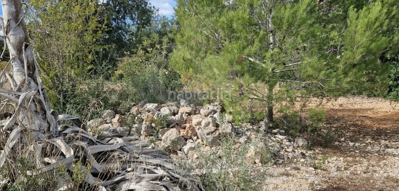 Foto 755a2bcd-51dc-41cf-88ce-317c54894b35. Mas avec chauffage piscine dans Felanitx poble Felanitx