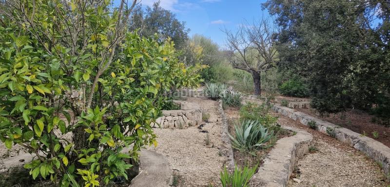 Foto acba297b-9a14-43ce-8dfb-77ffbbf3e942. Mas avec chauffage piscine dans Felanitx poble Felanitx