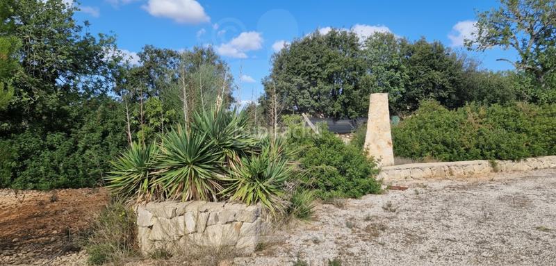 Foto ddf27bf9-ea41-4e16-9256-2e005d848678. Mas avec chauffage piscine dans Felanitx poble Felanitx