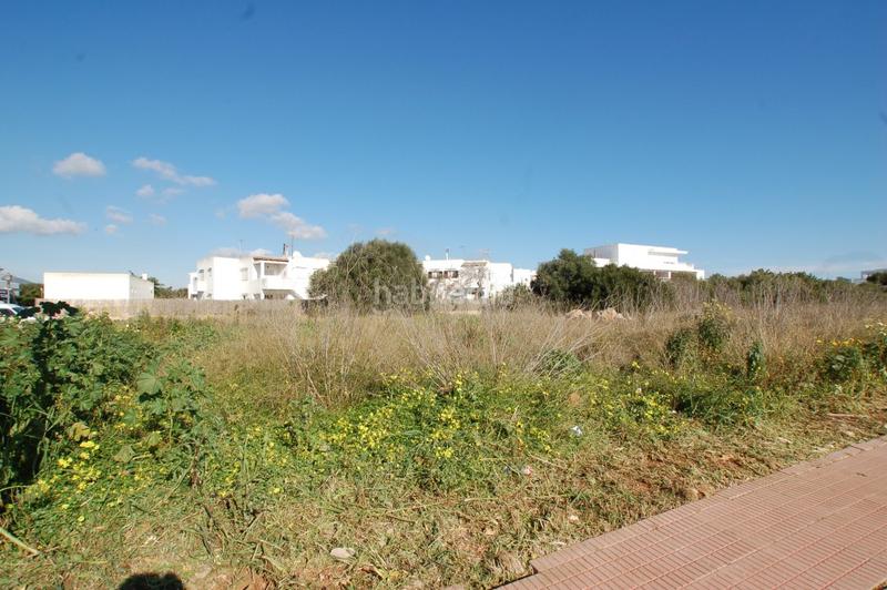 Foto d37ad9dc-682c-46e0-9d4b-f23efdf26749. Fondo rustico in Cala d´Or Santanyí