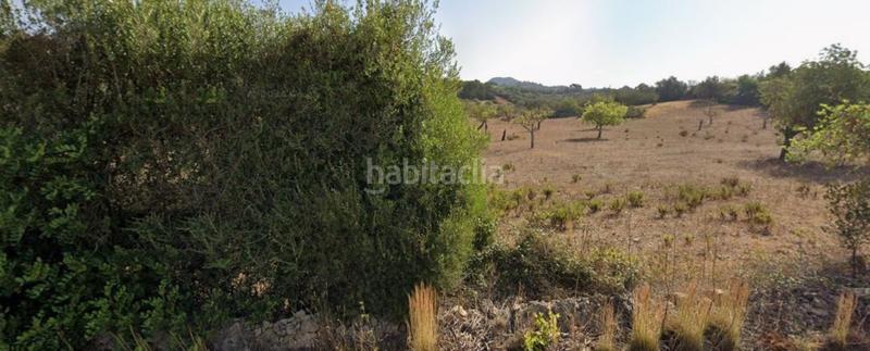 Foto 9a42fb91-9ba4-4b3e-9da5-5fe258087951. Propriété dans S´Alquería Blanca - Calonge Santanyí
