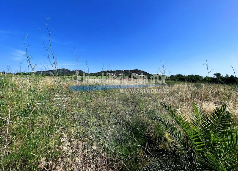 Foto 0b84c562-d570-472f-b07b-ca8e2b02f927. Propriété dans S´Alquería Blanca - Calonge Santanyí