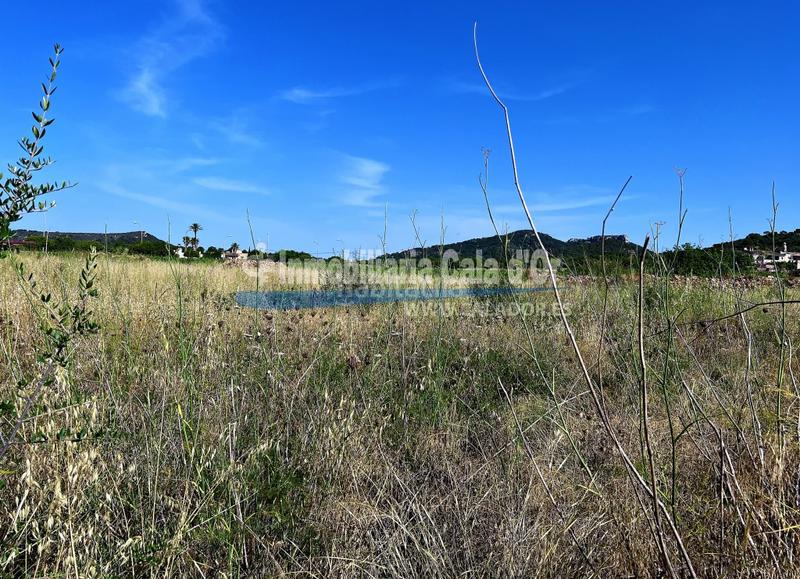 Foto 85171403-f30e-424e-98e6-ef7c7f68577b. Propriété dans S´Alquería Blanca - Calonge Santanyí