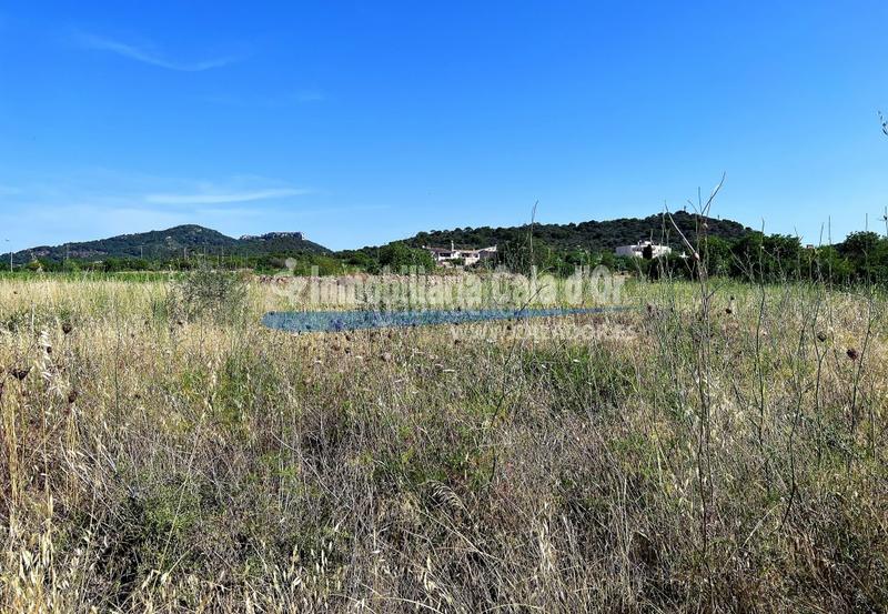 Foto 983678d1-988e-463e-b579-9794277dfaf9. Propriété dans S´Alquería Blanca - Calonge Santanyí