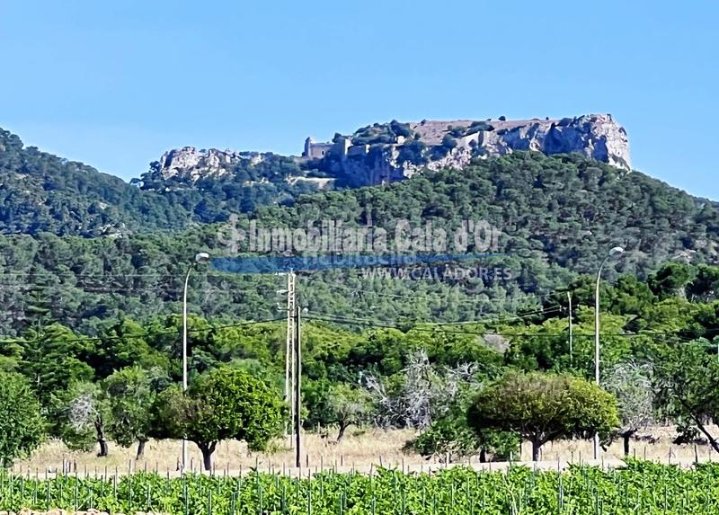 Foto e2609531-47aa-42ed-9a26-582f972669ee. Propriété dans S´Alquería Blanca - Calonge Santanyí