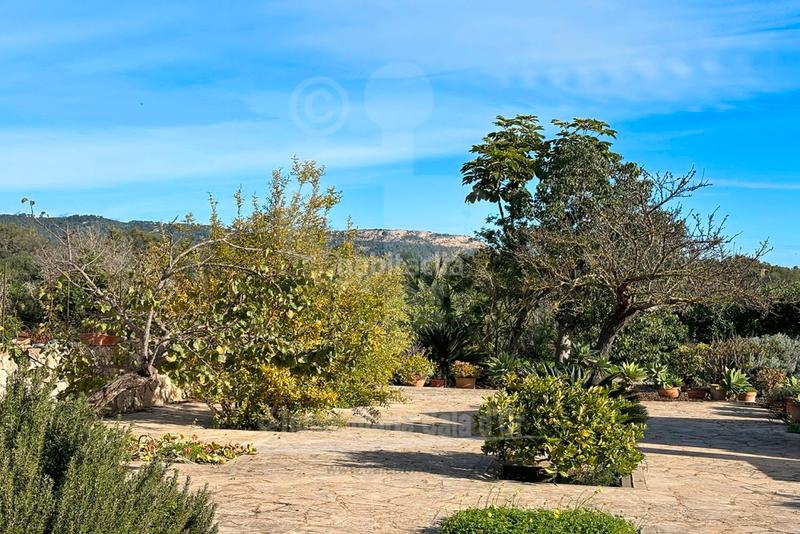 Foto eaef12eb-ef89-4f20-ba6f-723924d5190c. Chalet mit parking in Felanitx poble Felanitx