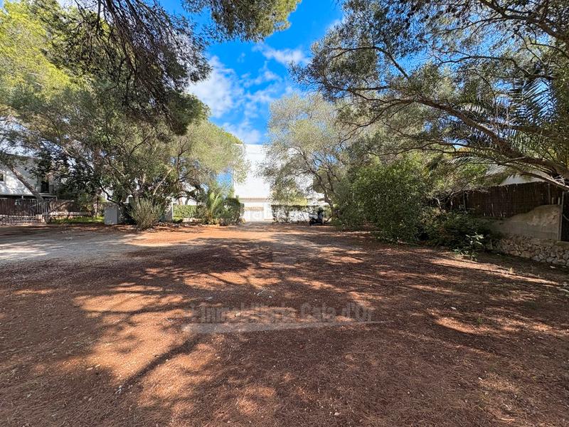 Foto 0481966f-7f51-4c74-bf48-a19379cb65d1. Apartment with parking in Cala d´Or Santanyí