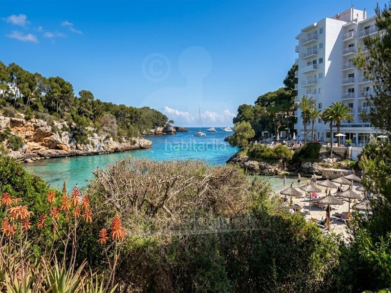 Foto 77753aa8-4226-403e-b799-967f13f071ef. Apartament amb piscina a Cala Ferrera - Cala Serena Felanitx