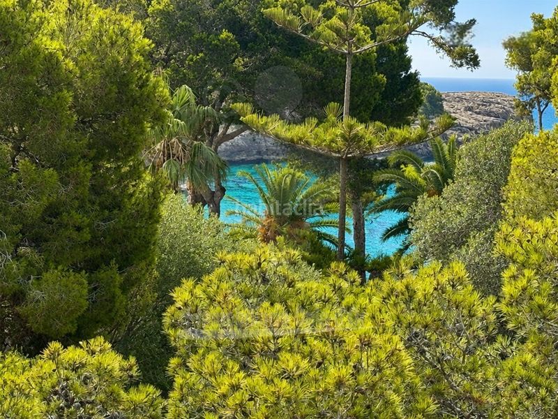 Foto ba171fb8-a861-4053-a3aa-8f7301251e4f. Xalet amb aparcament piscina a Cala d´Or Santanyí