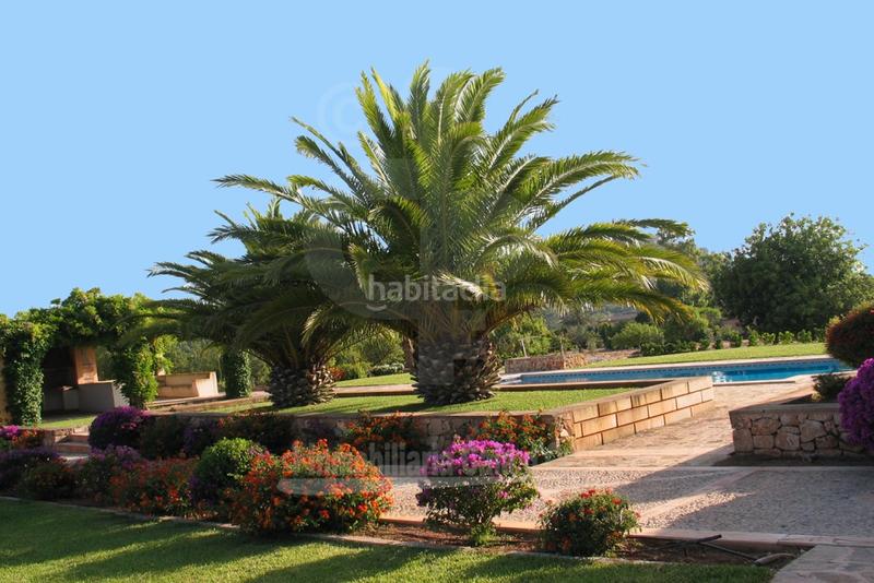 Foto 33fa2f5c-15cf-4a56-8174-2fa867857f37. Bauernhof mit heizung parking in S´Horta - Cas Concos des Cavaller - Es Carritxó Felanitx