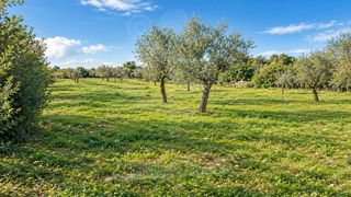 Finca rústica a Cala Ferrera - Cala Serena