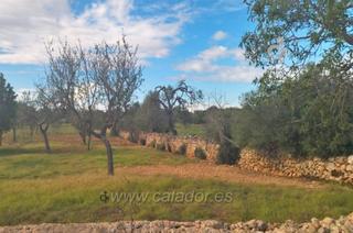 Finca rústica a S´Horta - Cas Concos des Cavaller - Es Carritxó. Terreno rústico en la zona de cala serenashorta