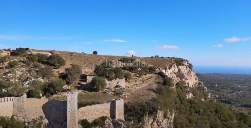 Foto e9aef369-f280-48f3-9fce-57d8b73e02c0. Masia amb aparcament a S´Horta - Cas Concos des Cavaller - Es Carritxó Felanitx