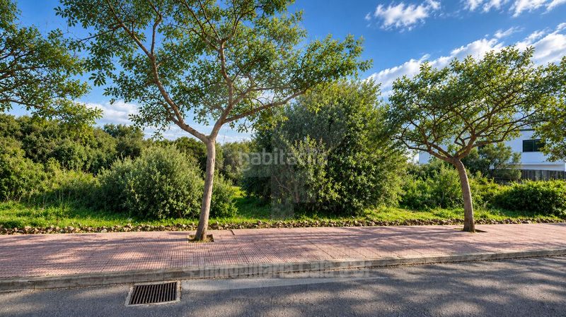 Foto a793a384-65de-4321-a3c3-b7616411f3c4. Finca rústica a Cala d´Or Santanyí