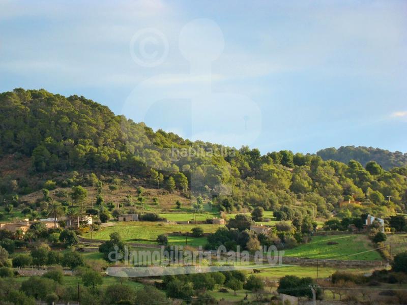 Foto 0c87dc37-c776-4b3b-a5aa-b48213d6b280. Bauernhof mit heizung pool in S´Horta - Cas Concos des Cavaller - Es Carritxó Felanitx