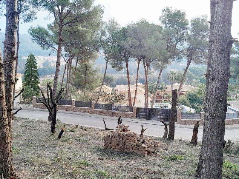 Foto d9621c86-1f32-4f93-afd6-5216dc5a357a. Terreny residencial a La Sella Pedreguer