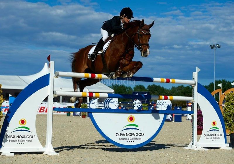 Foto 210497f8-05ac-4812-a363-f0c5a8c50691. Casa adossada amb piscina a Oliva playa Oliva