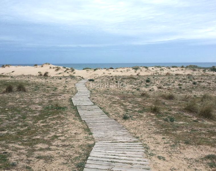 Foto cb2527a5-bd51-470b-86d2-f7024c04f82a. Casa adossada amb piscina a Oliva playa Oliva