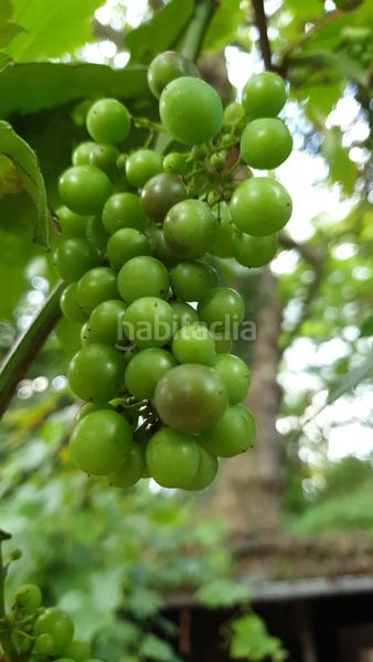 Foto 375fc07d-8783-4ce7-9252-654c94d1453c. Mas avec piscine dans Benidoleig