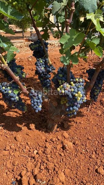 Foto 8de8d092-ea57-4e2d-9186-6f17c80ac461. Mas avec piscine dans Benidoleig