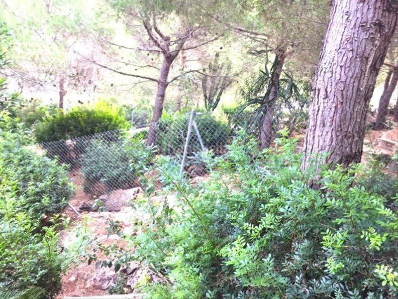 Foto 5cea637f-f26b-4c20-b89a-9a7bfe064dc6. Casa venta chalet muy bien situado en denia en La Pedrera-Vessanes Dénia