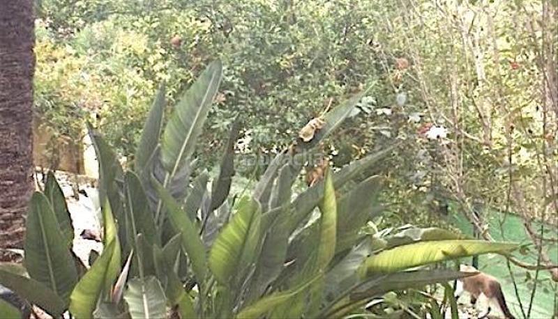 Foto 73c220f6-d8e2-4b2f-a2b8-26f61ffff22c. Casa venta chalet muy bien situado en denia en La Pedrera-Vessanes Dénia