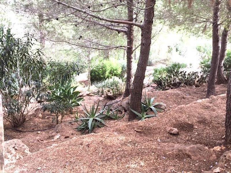 Foto 7c423573-1481-441c-b2b6-417f0844ffa3. Casa venta chalet muy bien situado en denia en La Pedrera-Vessanes Dénia