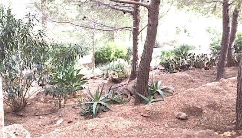 Foto aea0d80a-8660-49dc-a653-1ce72c687dc4. Casa venta chalet muy bien situado en denia en La Pedrera-Vessanes Dénia