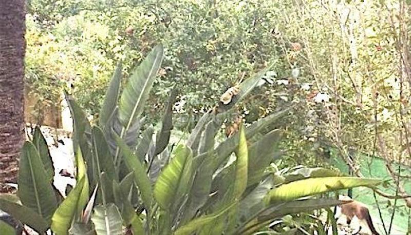 Foto e9b31fc8-c433-4d0e-ba90-780a85fdb749. Casa venta chalet muy bien situado en denia en La Pedrera-Vessanes Dénia