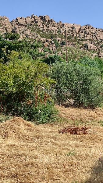 Foto 70027642-92de-42bf-b31b-f83ff6d365b7. Terrain résidentiel dans Manzanares el Real