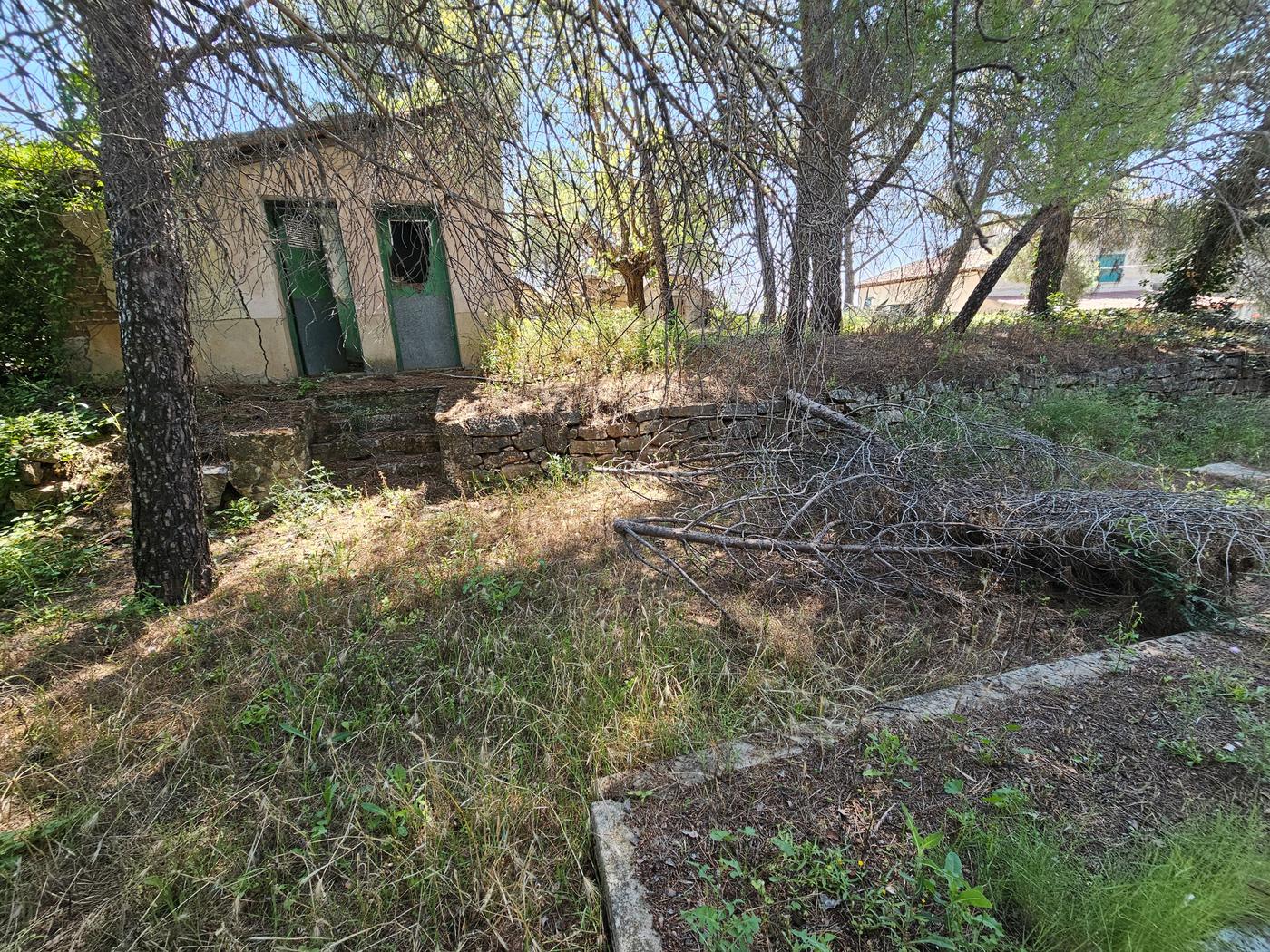 Masa jardn Torrelaguna