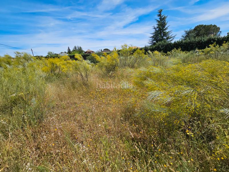 Foto 36cb390f-5fd5-419d-b7b4-fd0b79d5f947. Residential plot in calle bruselas 415 in Uceda