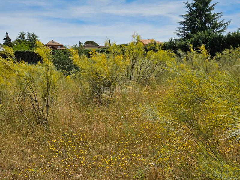 Foto 834d41ee-8809-4dc5-866c-e4c8610b7db9. Residential plot in calle bruselas 415 in Uceda